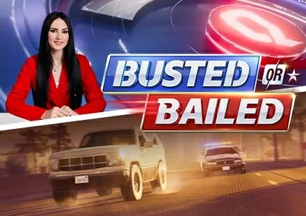 Busted Or Bailed - Playtech Live casino game on 747 Live